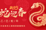 辭舊迎新，蛇舞華章丨深圳容金科技全體員工祝您新春快樂(lè)！